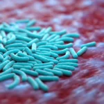 خرید بایوساید