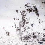 افق‌های پژوهشی در زمینه دیسپرس کننده‌ها: نوآوری‌های آینده